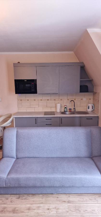 Apartament Krokus Закопане Экстерьер фото
